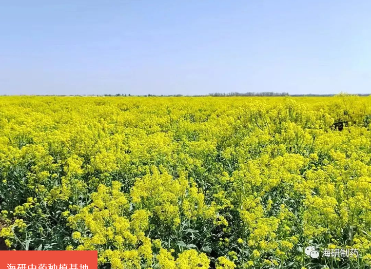 板青颗粒这点事……