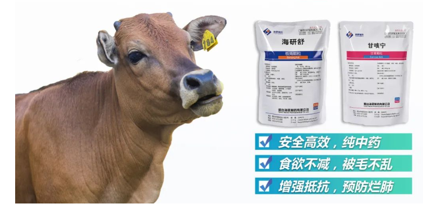 海研制药“牛羊转群，综合防控方案”