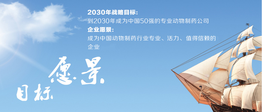 1674092285313966.jpg aa.jpg