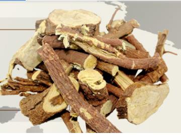 甘草为什么叫“国老”?