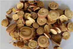 甘草颗粒的作用（二）