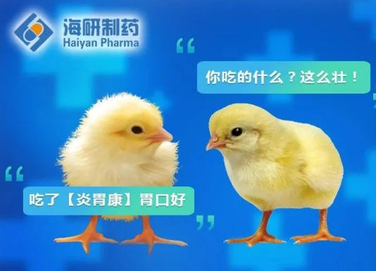 炎胃康 | 养胃提料，次日见效！