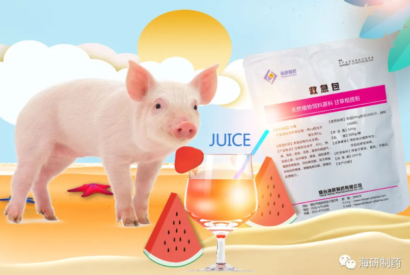 救急包 | 快速解除症状，迅速恢复食欲！