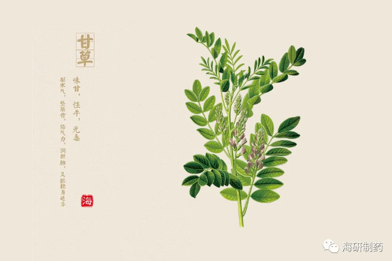 甘草提取物的生物学功能及其在畜禽生产中的应用