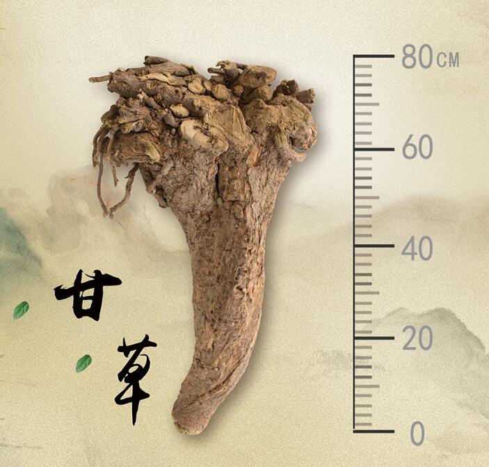 道地药材--新疆甘草